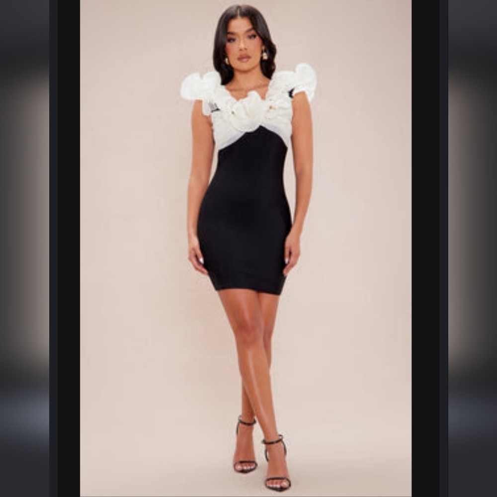 Fashion Nova Elegant Black & White Fitted Small Women's Dress